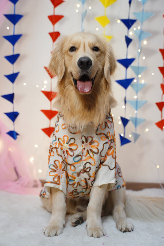Dog wearing a colorful outfit lying on a patterned blanket with string lights.
