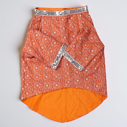 Rust Colour Chikankari Dog Kurta with Mirror Work