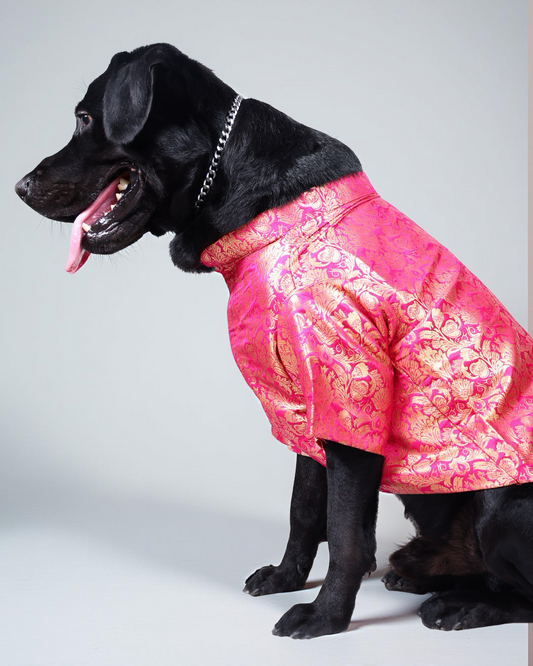 Fuchsia Pink Brocade Silk Zari Work Dog Kurta