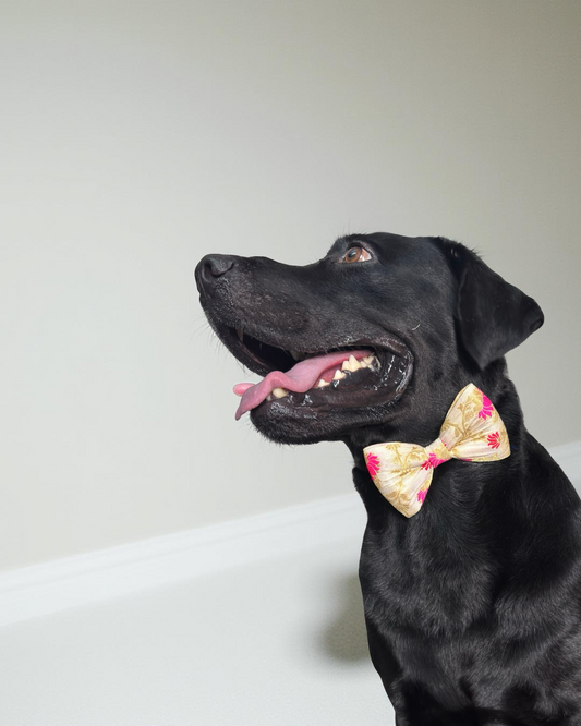 Off-White Silk Fabric with Lotus Print Dog Bow