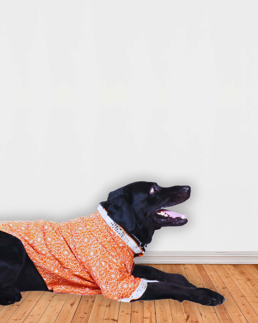 Rust Colour Chikankari Dog Kurta with Mirror Work