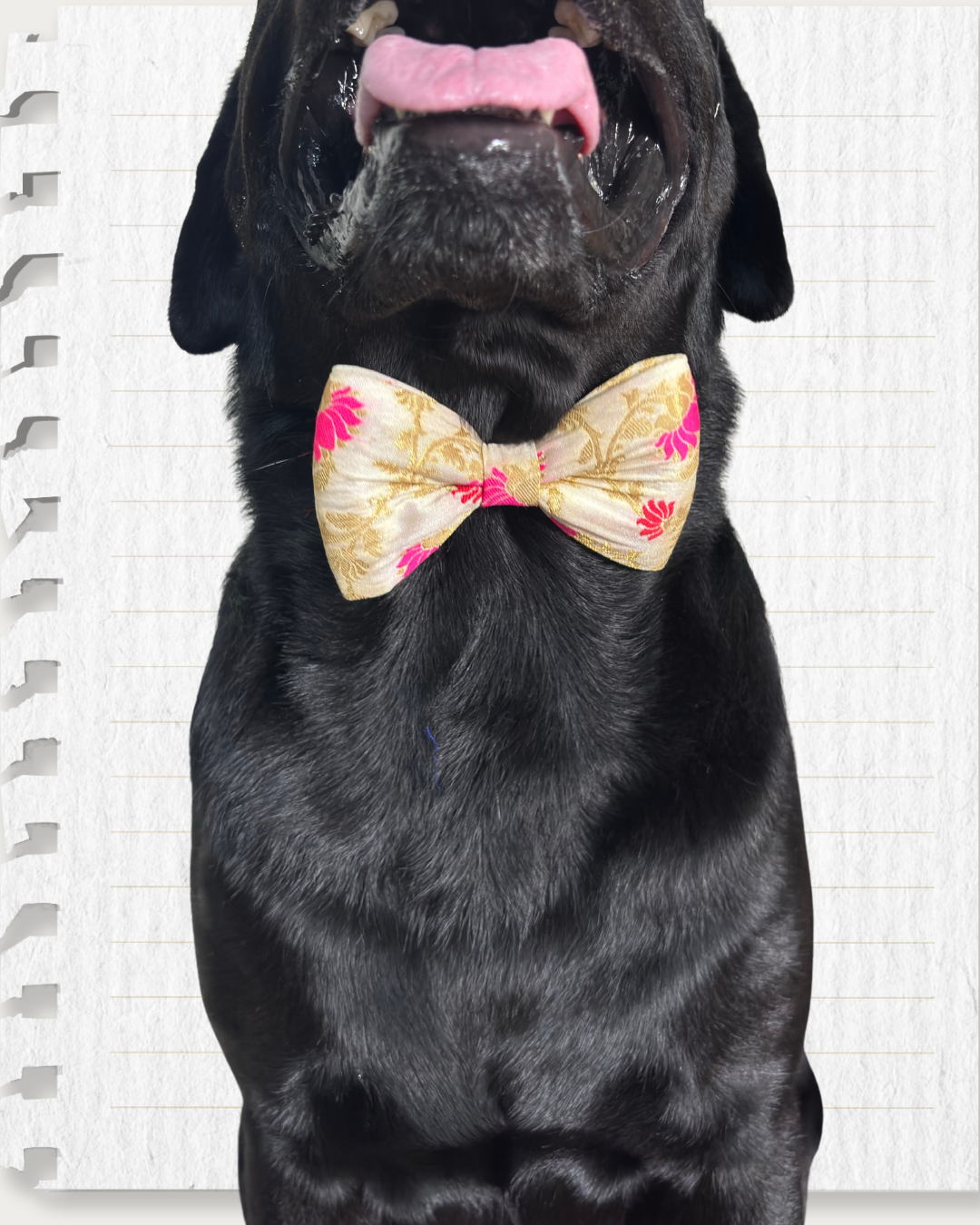 Off-White Silk Fabric with Lotus Print Dog Bow