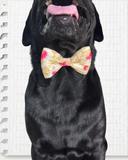 Off-White Silk Fabric with Lotus Print Dog Bow