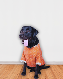Rust Colour Chikankari Dog Kurta with Mirror Work