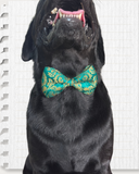 Aqua Green Silk Brocade Zari Work Dog Bow