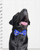 Blue Brocade Silk Zari Work Dog Bow
