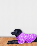Electric Purple Raw Silk Fabric with Gold Zari work Dog Kurta