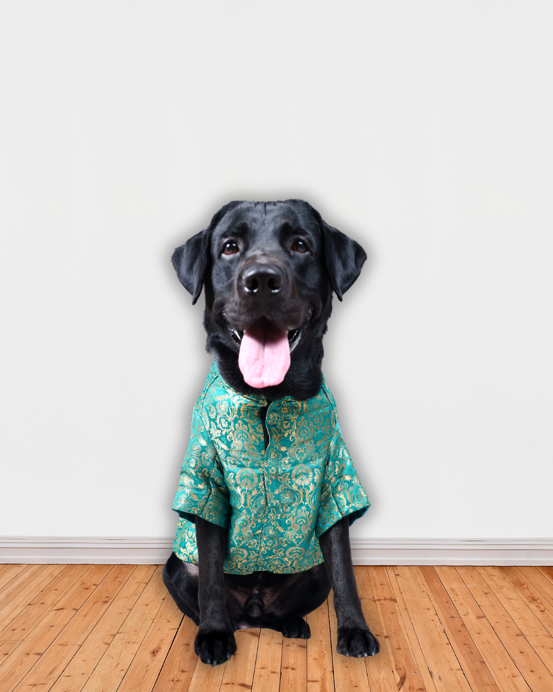 Aqua Green Silk Brocade Zari Work Dog Kurta