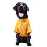 Mustard Yellow Brocade Silk Dog Kurta with Gota Lace