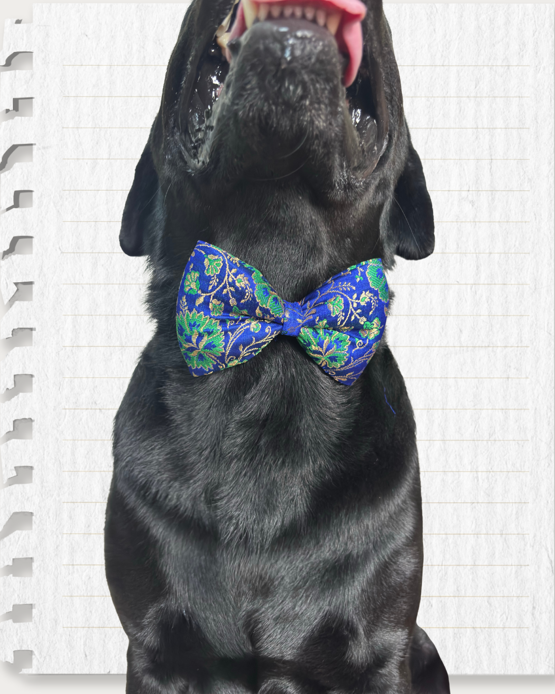 Persian Blue and Green Brocade Zari Work Dog Bow