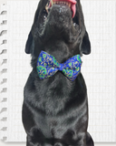 Persian Blue and Green Brocade Zari Work Dog Bow