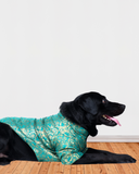 Aqua Green Silk Brocade Zari Work Dog Kurta