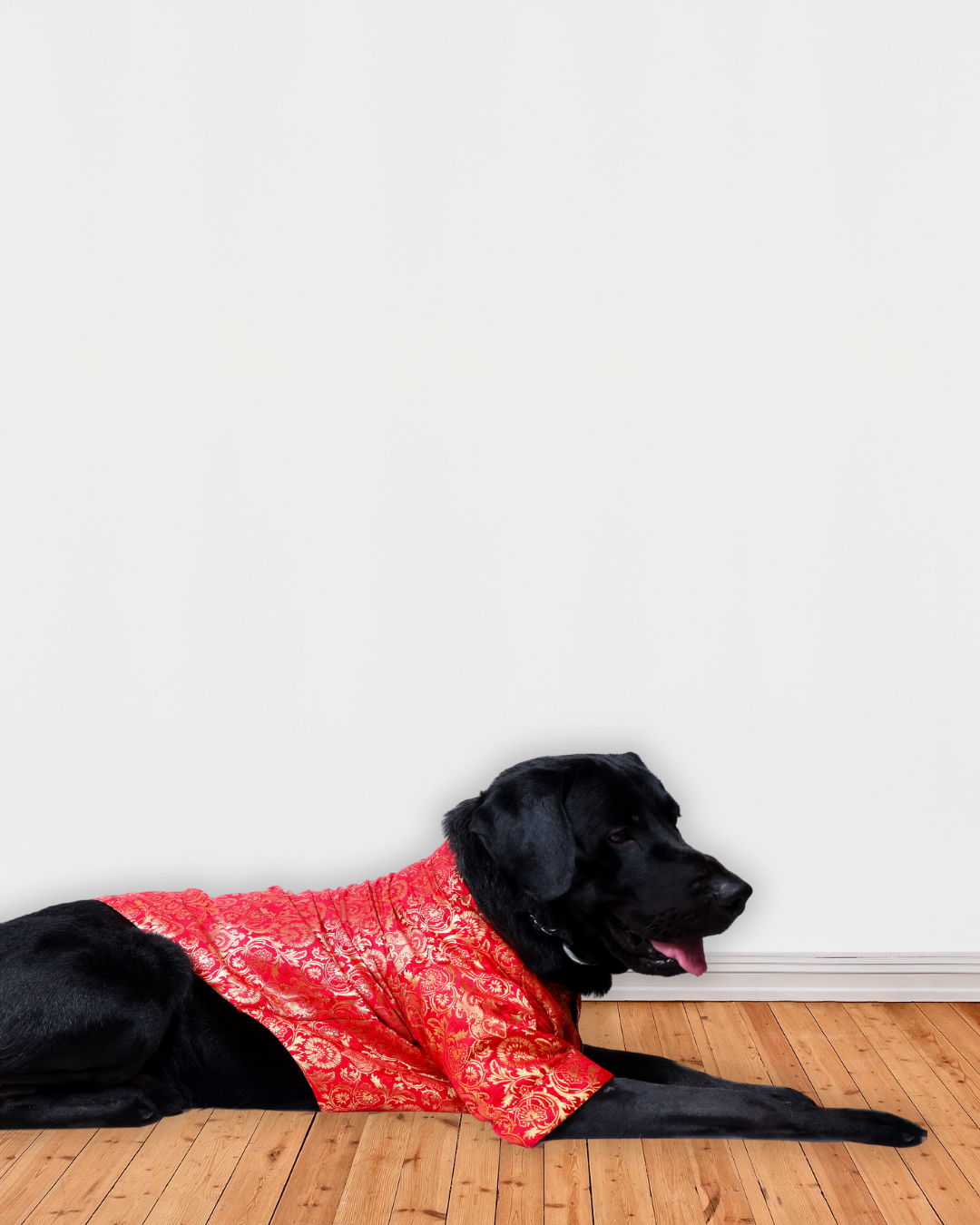 Red Brocade Silk Zari Work Dog Kurta