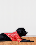 Red Brocade Silk Zari Work Dog Kurta