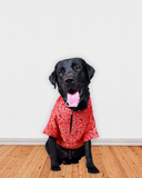 Red Brocade Silk Zari Work Dog Kurta