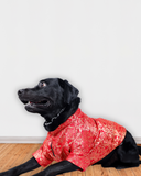 Red Brocade Silk Zari Work Dog Kurta