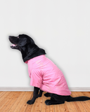 Pink Dog Kurta with Rayon golden motif print Work