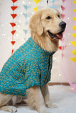 Firozi Blue Rayon Dog Kurta with Thread Work
