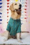 Firozi Blue Rayon Dog Kurta with Thread Work