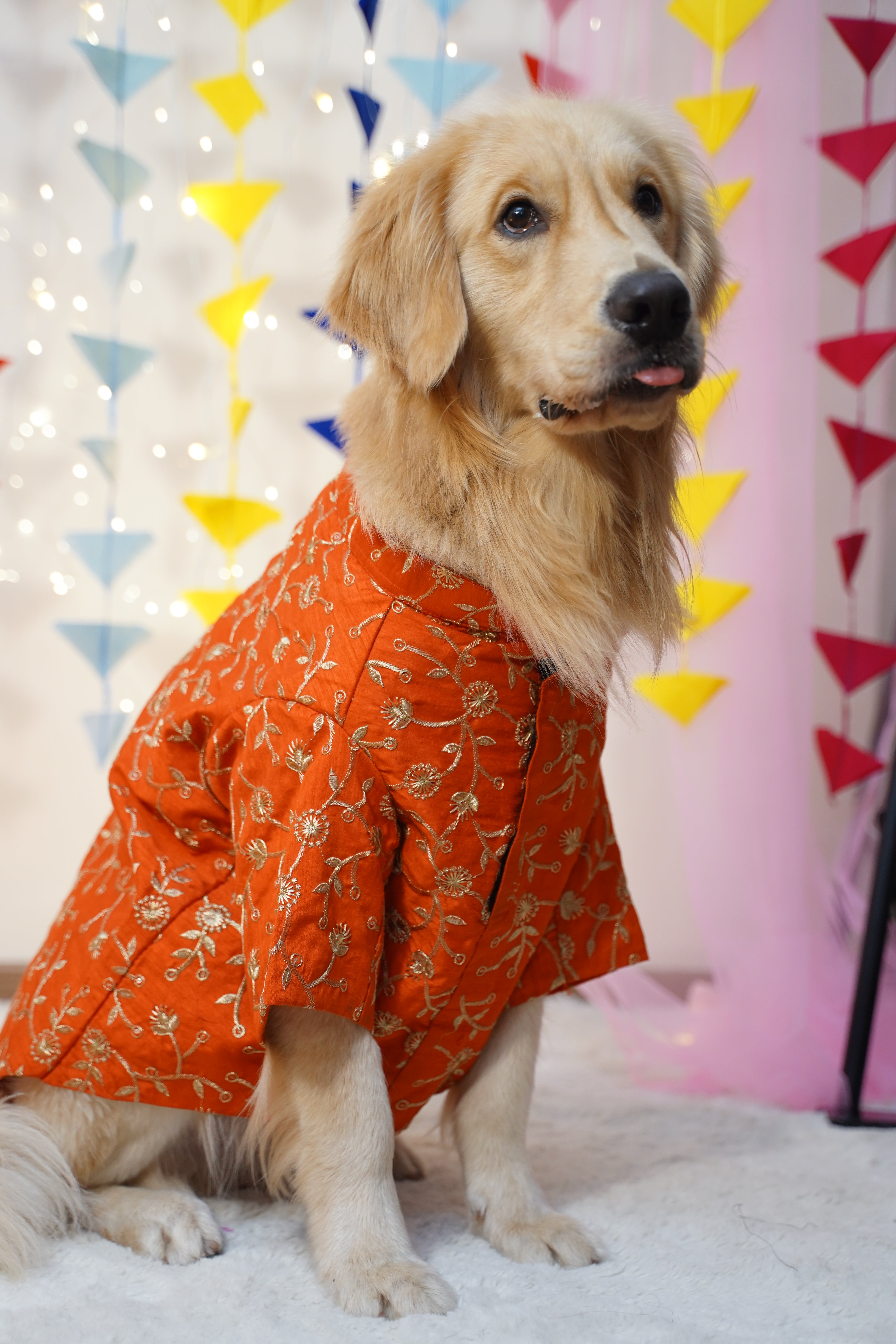 Dog wearing an orange outfit with a pattern, lying on a colorful blanket.