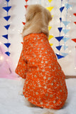 Dog wearing an orange floral-patterned sweater with a colorful flag background