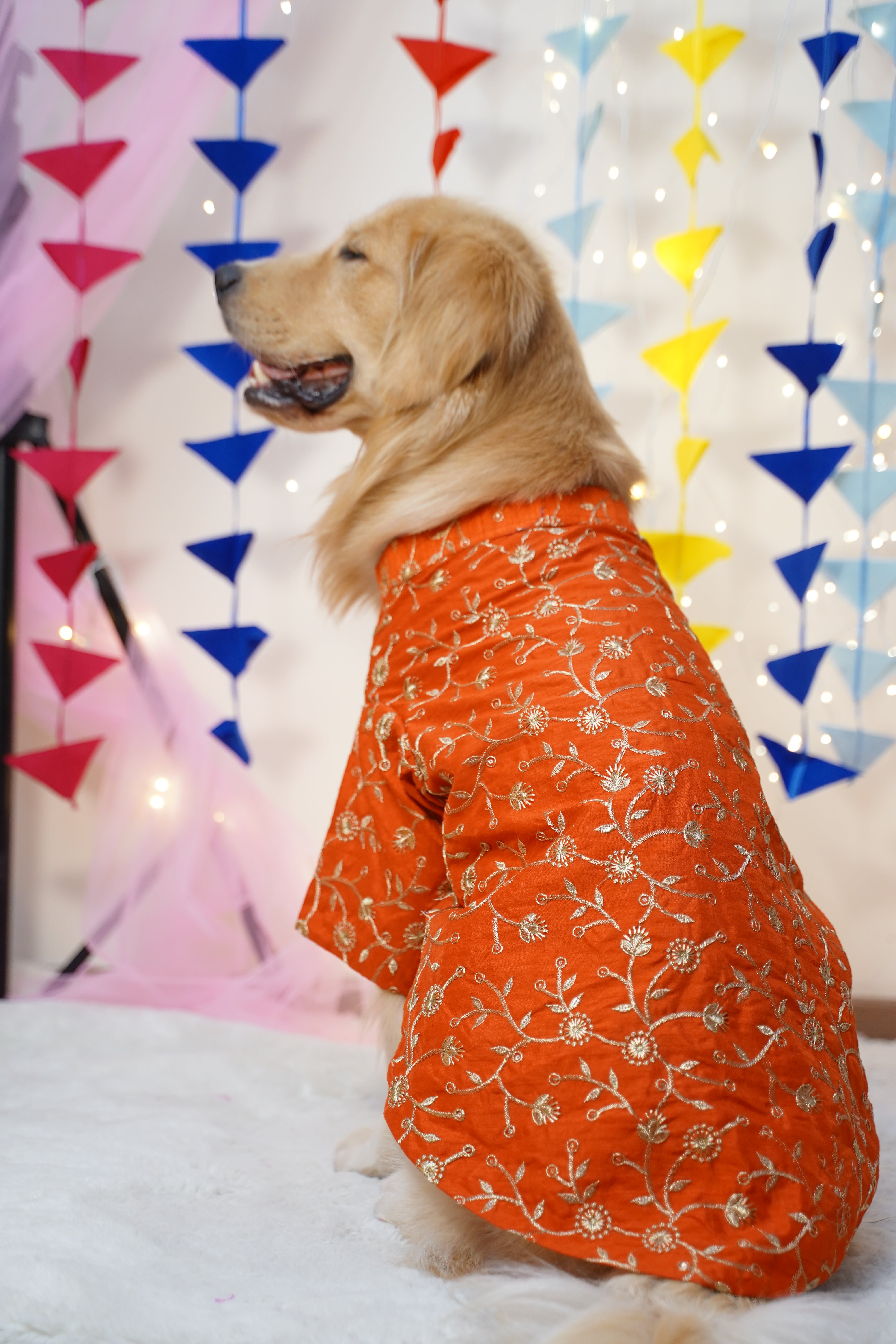 Dog wearing an orange floral outfit lying on a colorful blanket