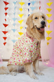 Off-White Silk Fabric with Lotus Print Dog Kurta with Mirror Work