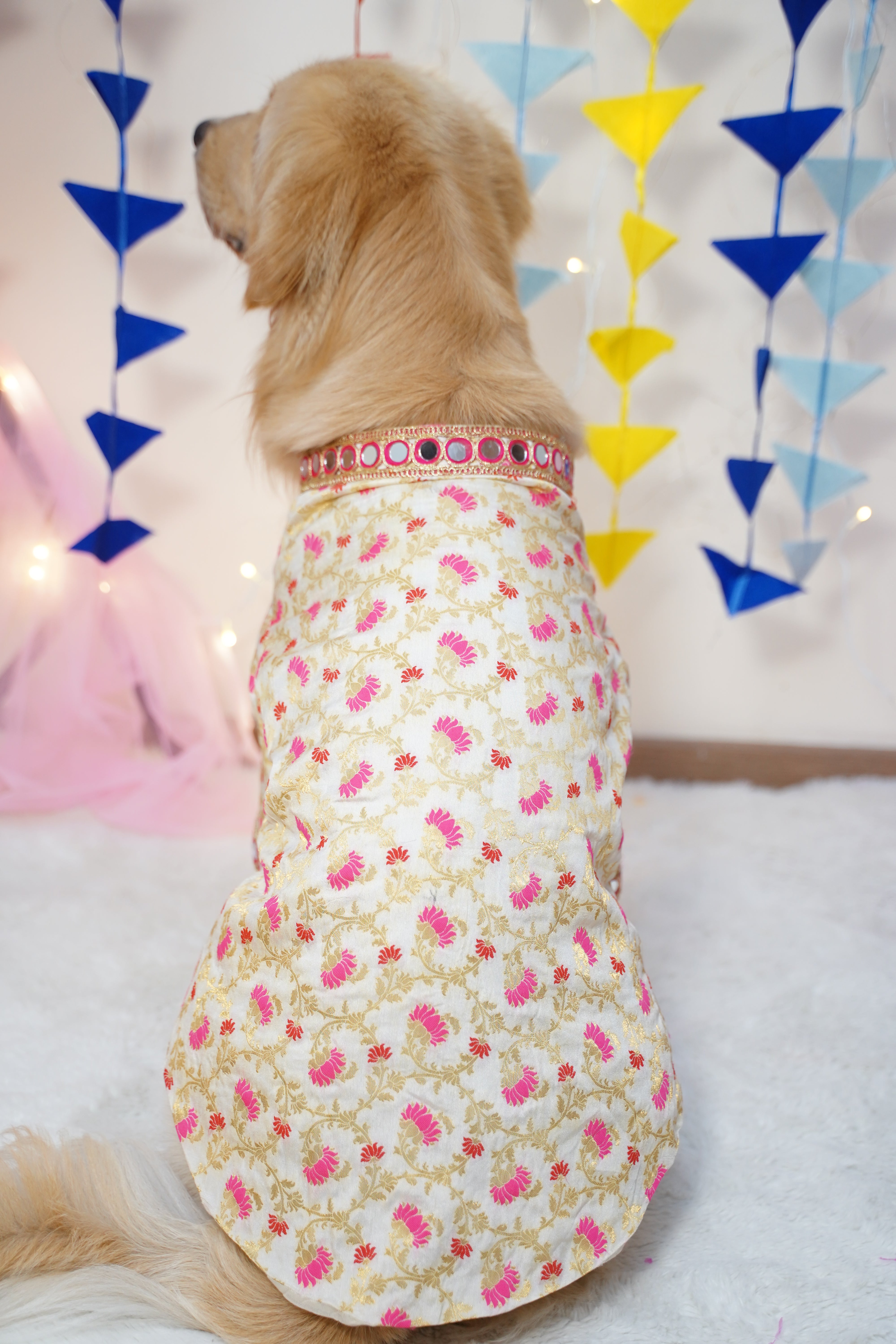 Off-White Silk Fabric with Lotus Print Dog Kurta with Mirror Work
