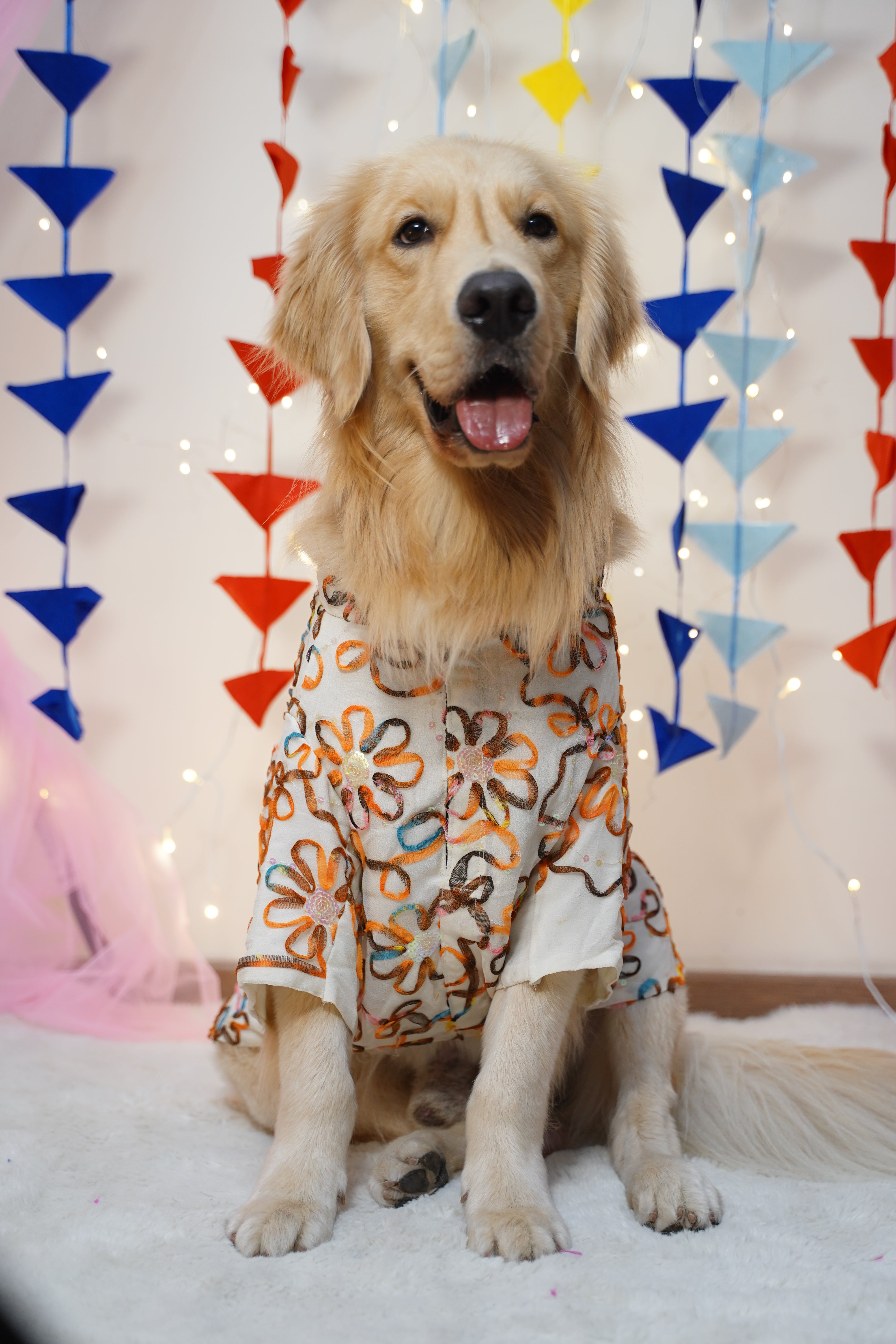 Dog wearing a colorful outfit lying on a patterned blanket