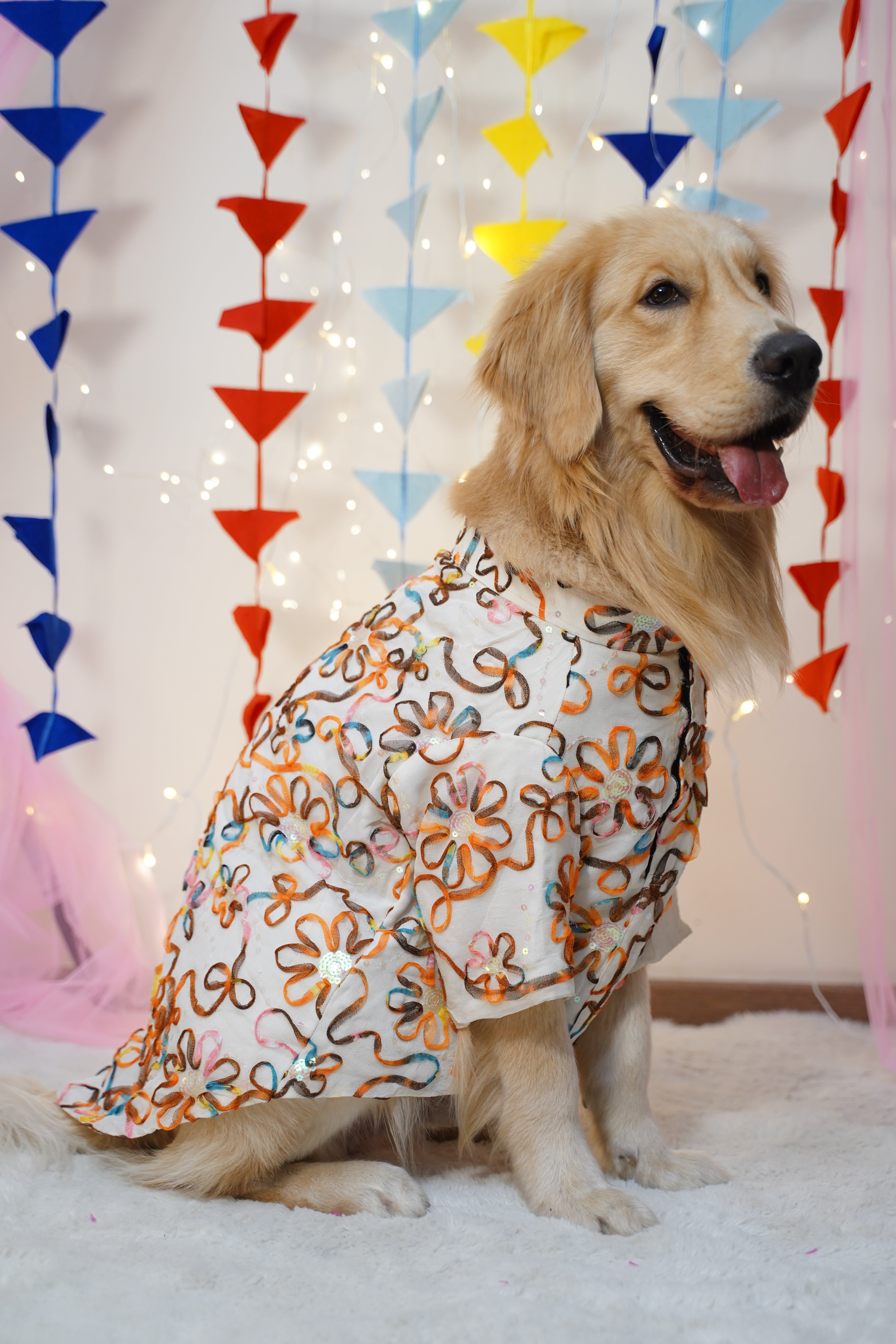 Dog wearing a patterned outfit lying on a colorful geometric blanket