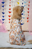 White Georgette Ribbon Work Dog Kurta
