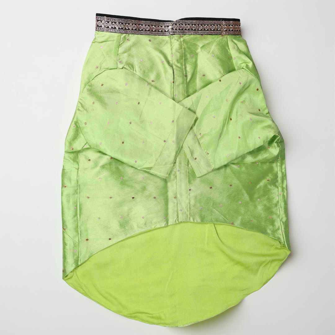 Lime Green Silk Dog Kurta with Black Zari Lace